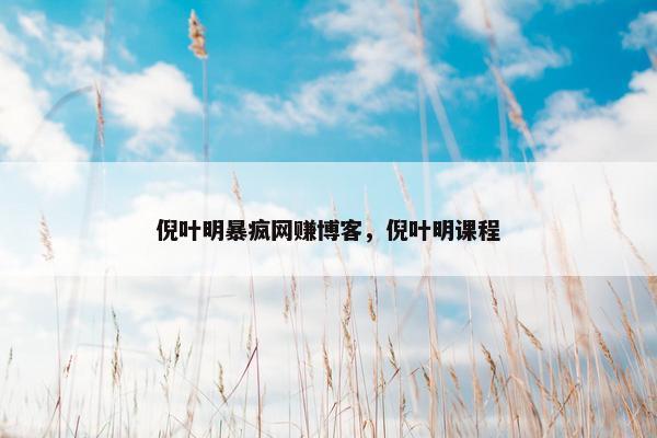倪叶明暴疯网赚博客，倪叶明课程