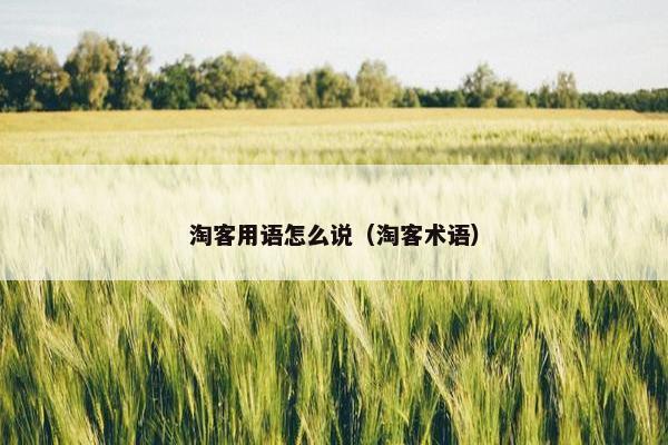淘客用语怎么说（淘客术语）