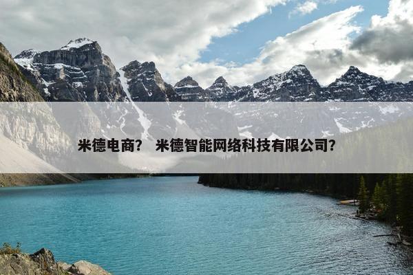 米德电商？ 米德智能网络科技有限公司？