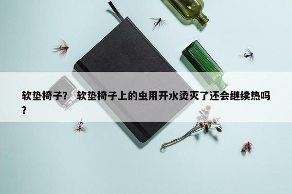 软垫椅子？ 软垫椅子上的虫用开水烫灭了还会继续热吗？
