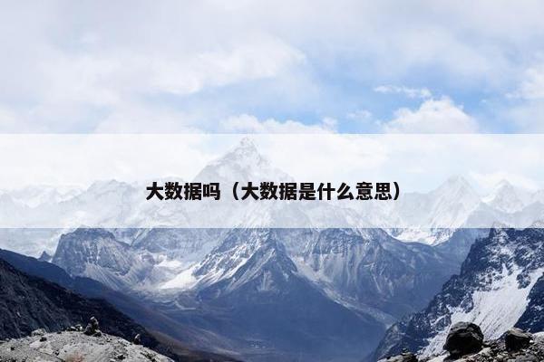 大数据吗（大数据是什么意思）