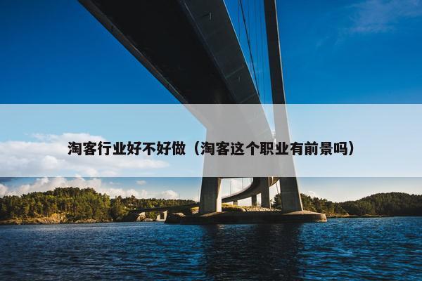 淘客行业好不好做（淘客这个职业有前景吗）