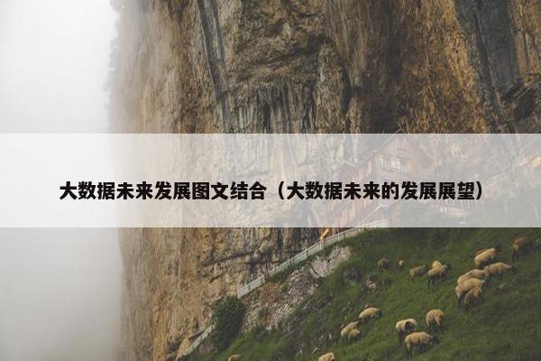 大数据未来发展图文结合（大数据未来的发展展望）