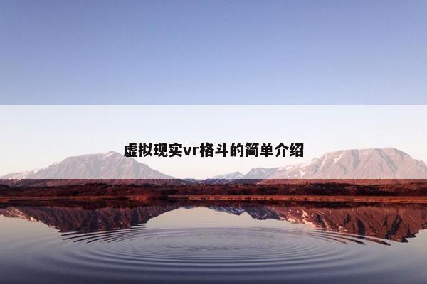 虚拟现实vr格斗的简单介绍