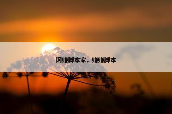 网赚脚本家，赚赚脚本