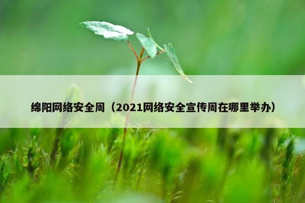 绵阳网络安全周（2021网络安全宣传周在哪里举办）