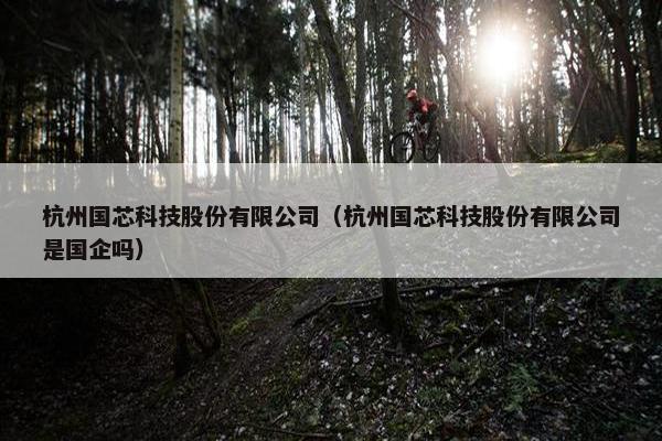 杭州国芯科技股份有限公司（杭州国芯科技股份有限公司是国企吗）