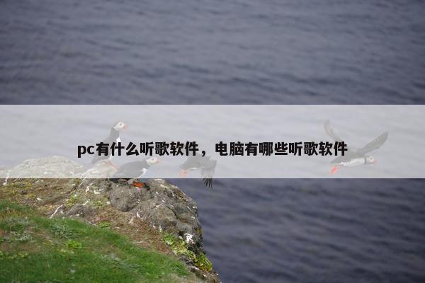 pc有什么听歌软件，电脑有哪些听歌软件