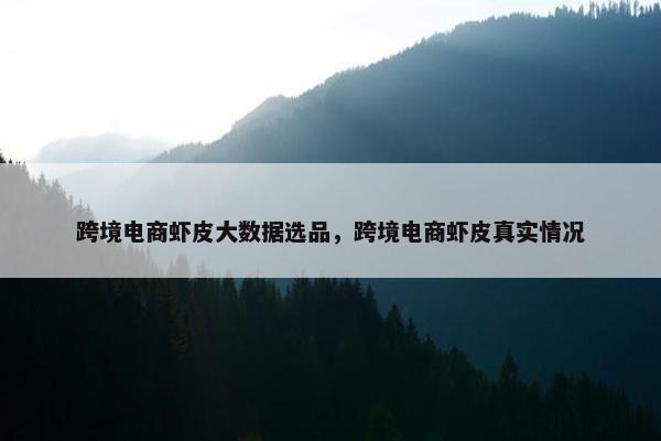 跨境电商虾皮大数据选品，跨境电商虾皮真实情况