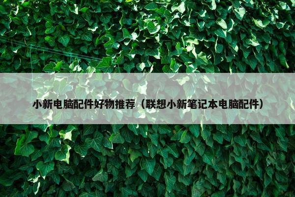 小新电脑配件好物推荐（联想小新笔记本电脑配件）
