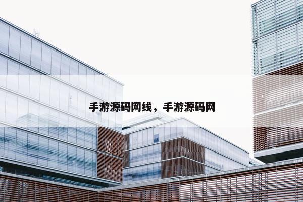 手游源码网线，手游源码网