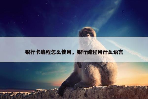 银行卡编程怎么使用，银行编程用什么语言