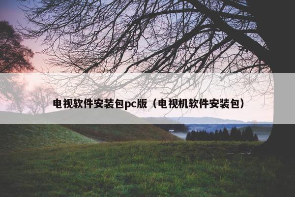 电视软件安装包pc版（电视机软件安装包）