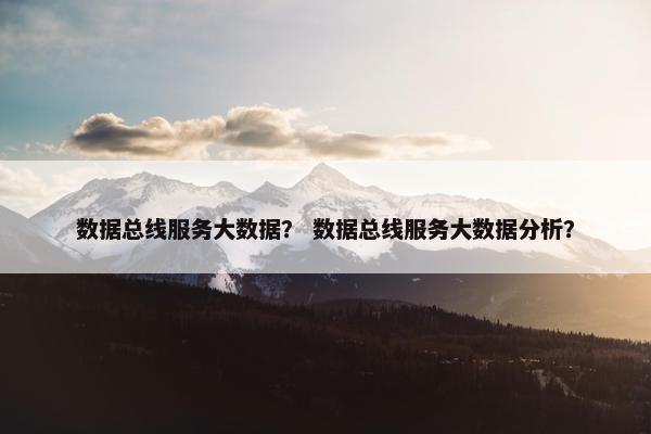 数据总线服务大数据？ 数据总线服务大数据分析？