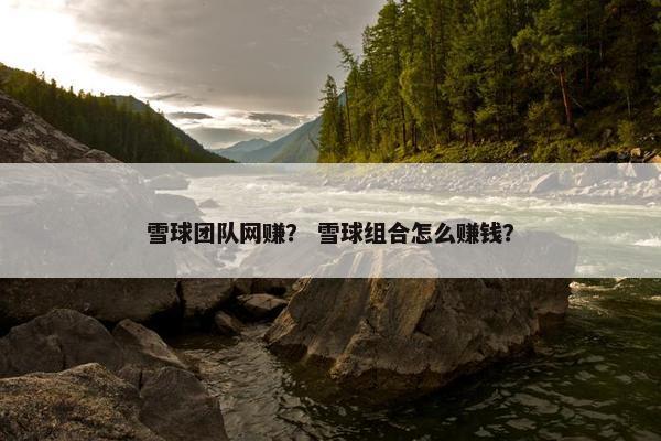 雪球团队网赚？ 雪球组合怎么赚钱？