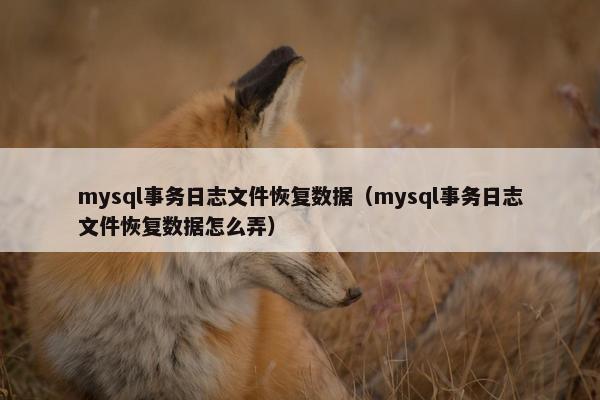 mysql事务日志文件恢复数据（mysql事务日志文件恢复数据怎么弄）