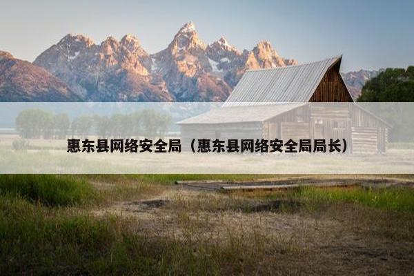 惠东县网络安全局（惠东县网络安全局局长）