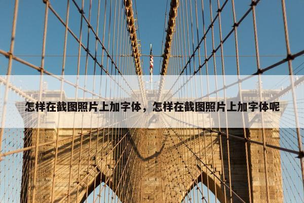 怎样在截图照片上加字体，怎样在截图照片上加字体呢