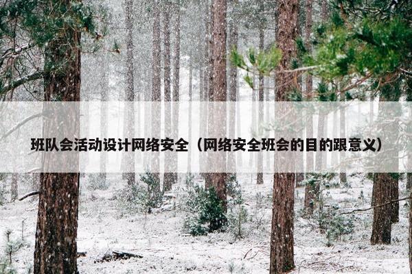 班队会活动设计网络安全（网络安全班会的目的跟意义）