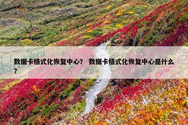 数据卡格式化恢复中心？ 数据卡格式化恢复中心是什么？