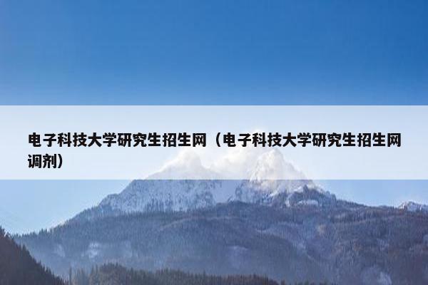 电子科技大学研究生招生网（电子科技大学研究生招生网调剂）