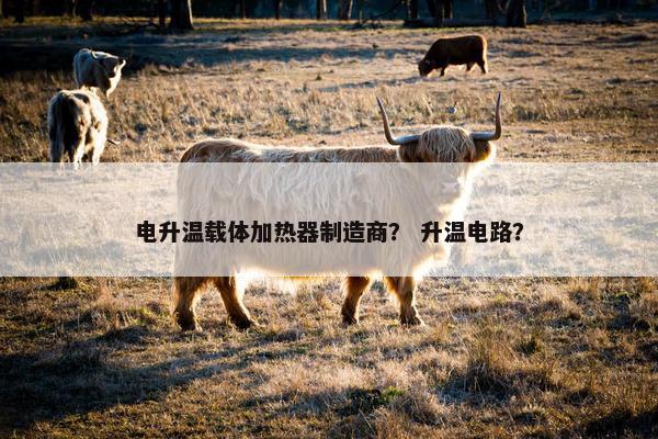 电升温载体加热器制造商？ 升温电路？