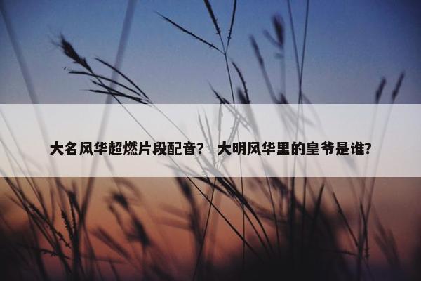 大名风华超燃片段配音？ 大明风华里的皇爷是谁？