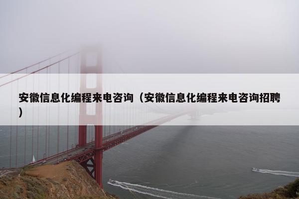 安徽信息化编程来电咨询（安徽信息化编程来电咨询招聘）