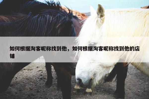 如何根据淘客昵称找到他，如何根据淘客昵称找到他的店铺