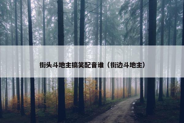 街头斗地主搞笑配音谁（街边斗地主）
