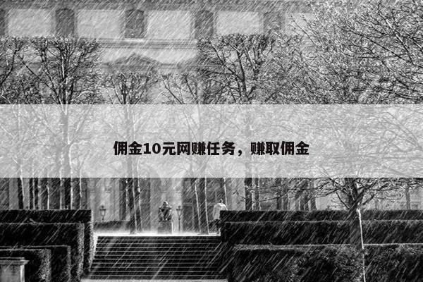 佣金10元网赚任务，赚取佣金