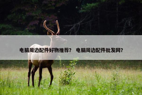 电脑周边配件好物推荐？ 电脑周边配件批发网？