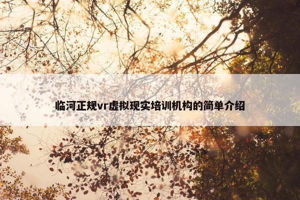 临河正规vr虚拟现实培训机构的简单介绍