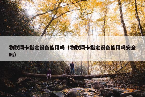 物联网卡指定设备能用吗（物联网卡指定设备能用吗安全吗）