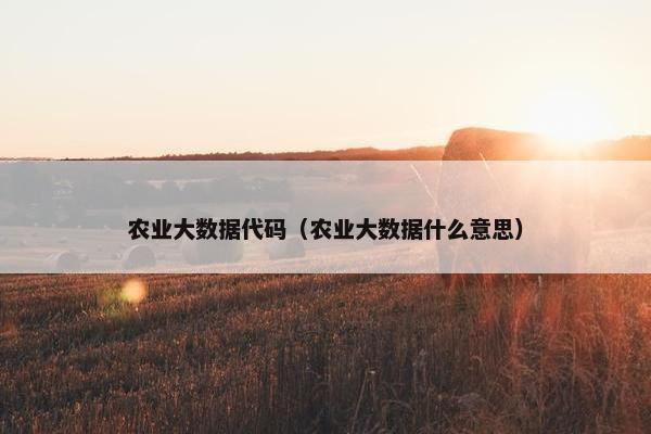 农业大数据代码（农业大数据什么意思）