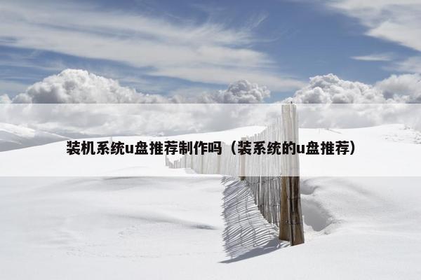 装机系统u盘推荐制作吗（装系统的u盘推荐）