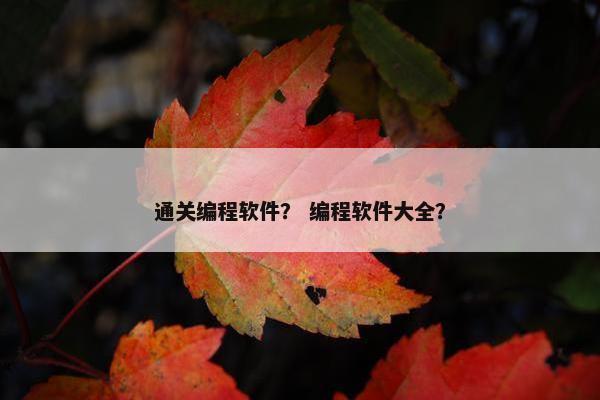 通关编程软件？ 编程软件大全？