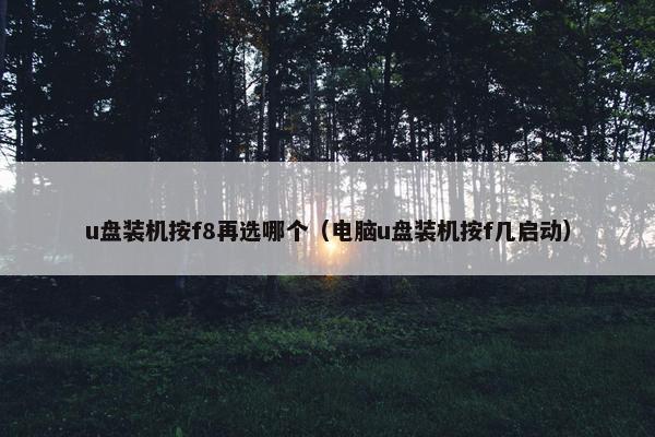 u盘装机按f8再选哪个（电脑u盘装机按f几启动）