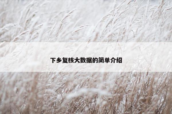 下乡复核大数据的简单介绍