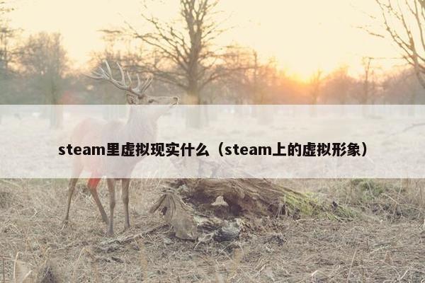 steam里虚拟现实什么（steam上的虚拟形象）