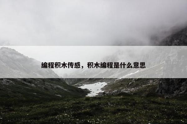 编程积木传感，积木编程是什么意思