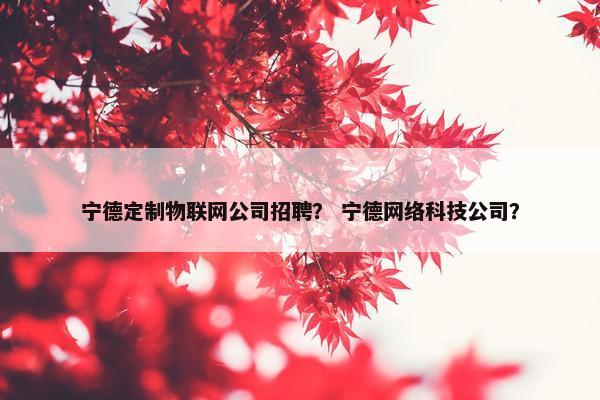 宁德定制物联网公司招聘？ 宁德网络科技公司？