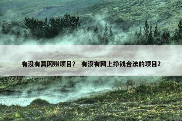 有没有真网赚项目？ 有没有网上挣钱合法的项目？
