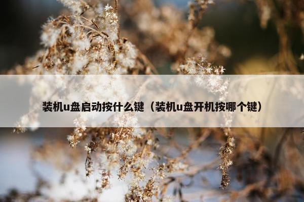 装机u盘启动按什么键（装机u盘开机按哪个键）