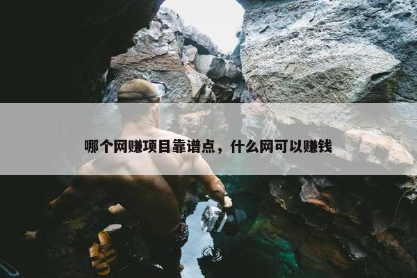 哪个网赚项目靠谱点，什么网可以赚钱