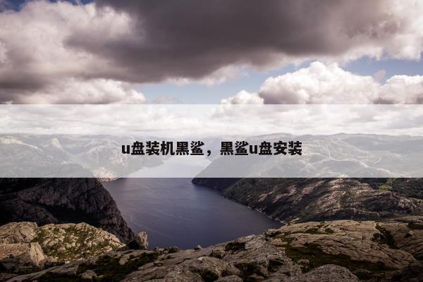 u盘装机黑鲨，黑鲨u盘安装