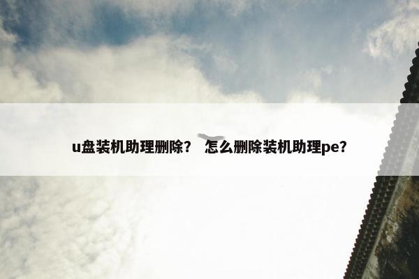 u盘装机助理删除？ 怎么删除装机助理pe？