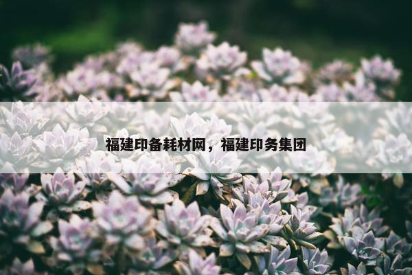 福建印备耗材网，福建印务集团