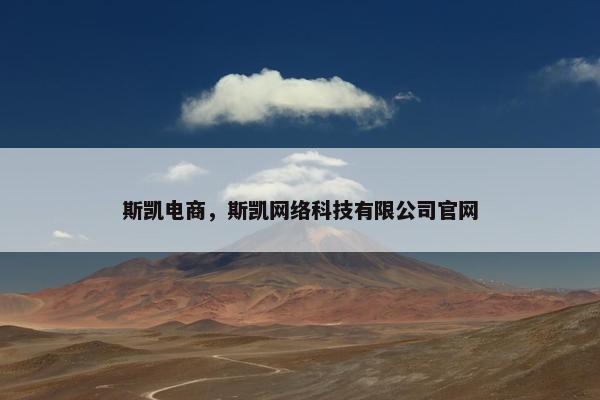 斯凯电商，斯凯网络科技有限公司官网