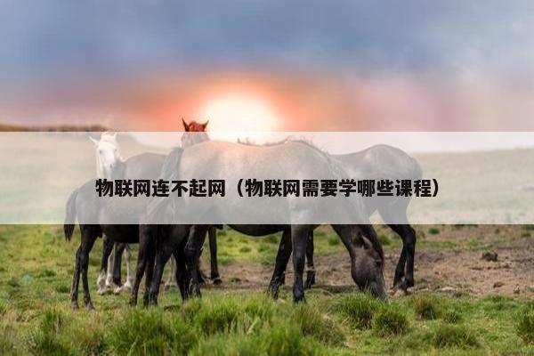 物联网连不起网（物联网需要学哪些课程）